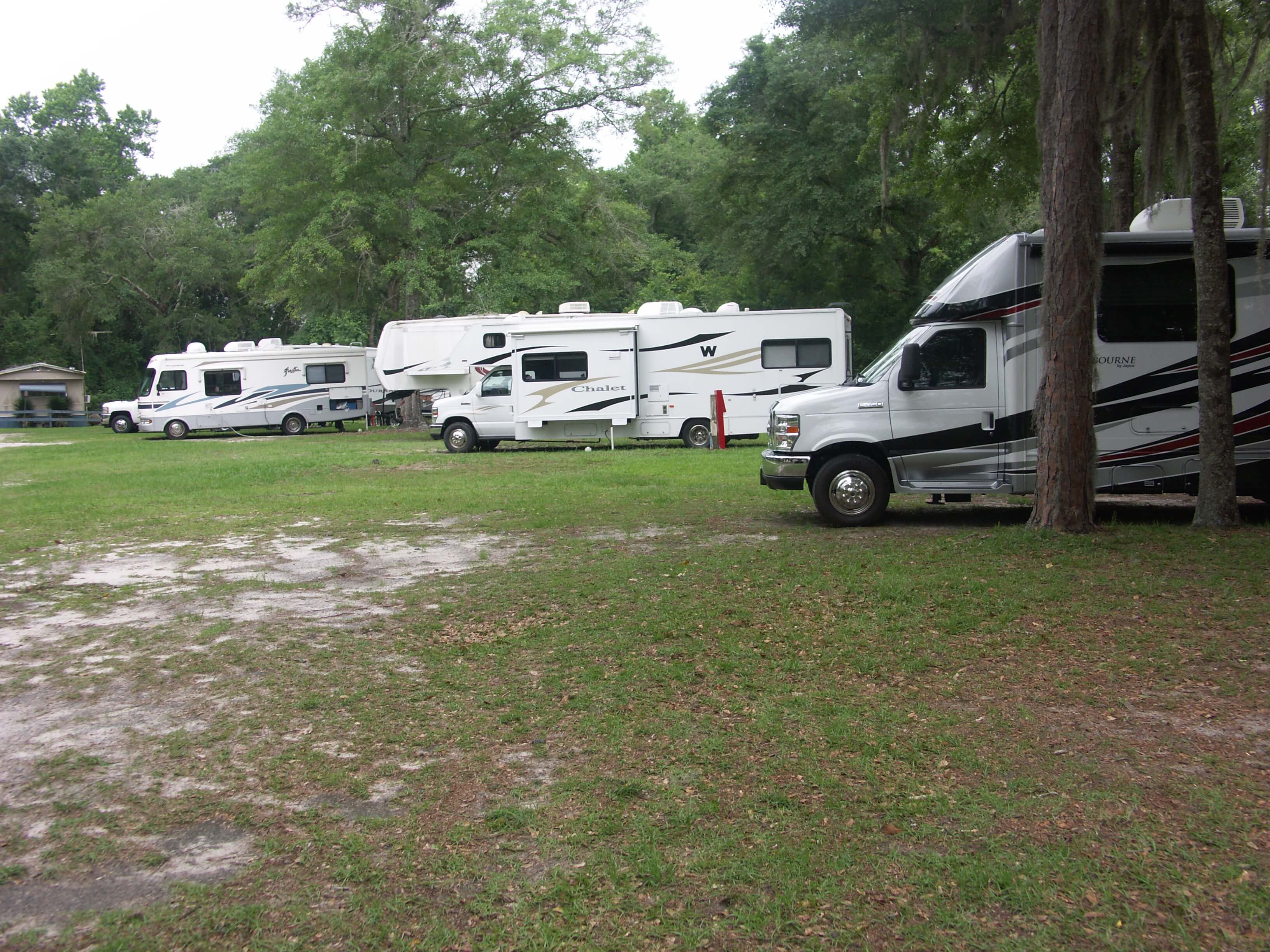 RV's at a campground